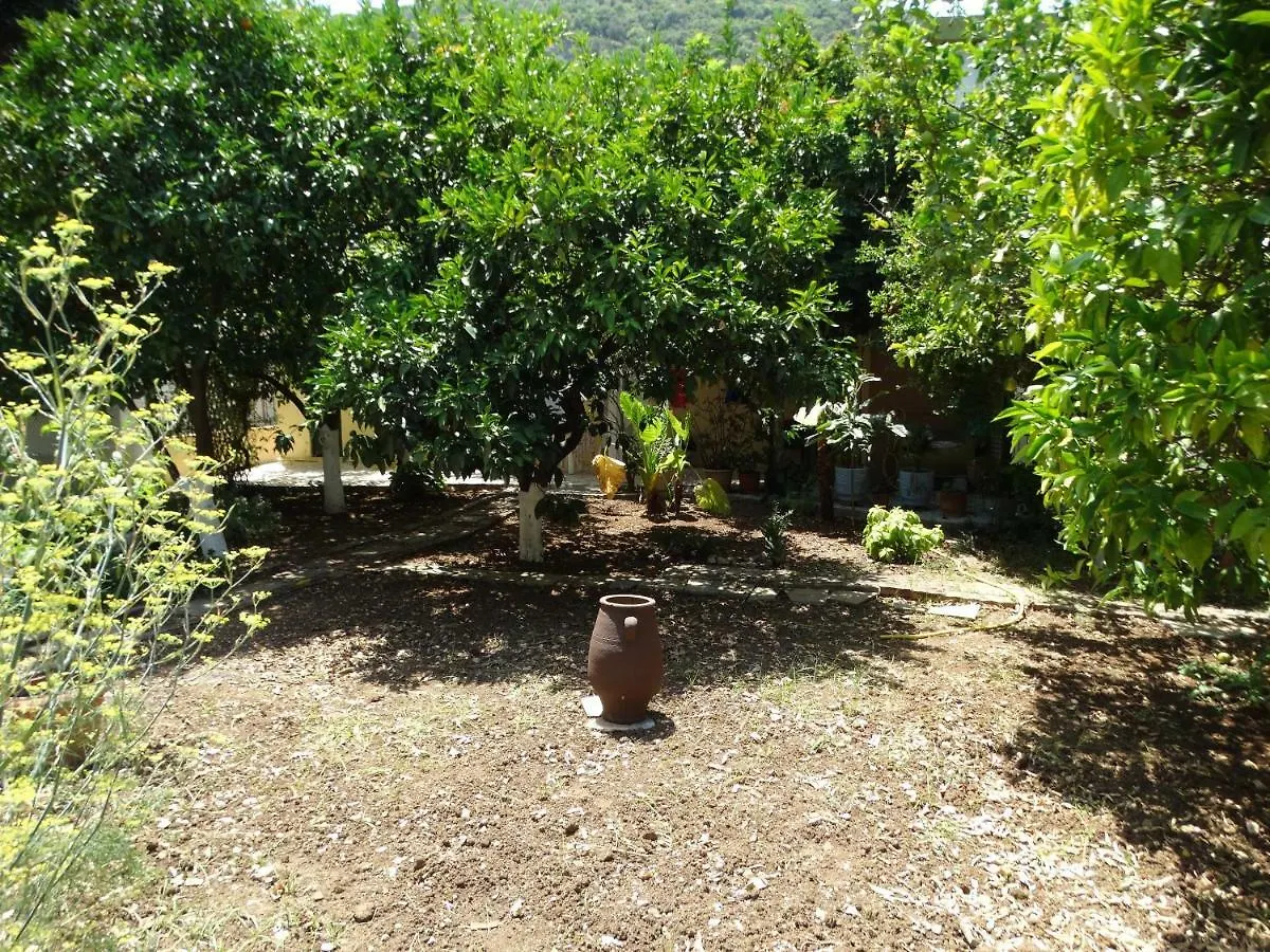 The Grapevine Rooms Poros
